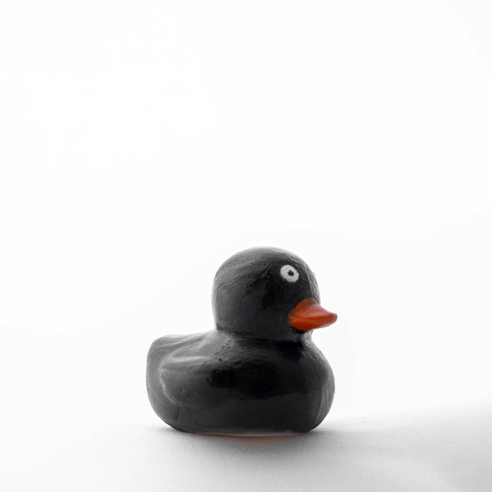 Чёрный утёнок