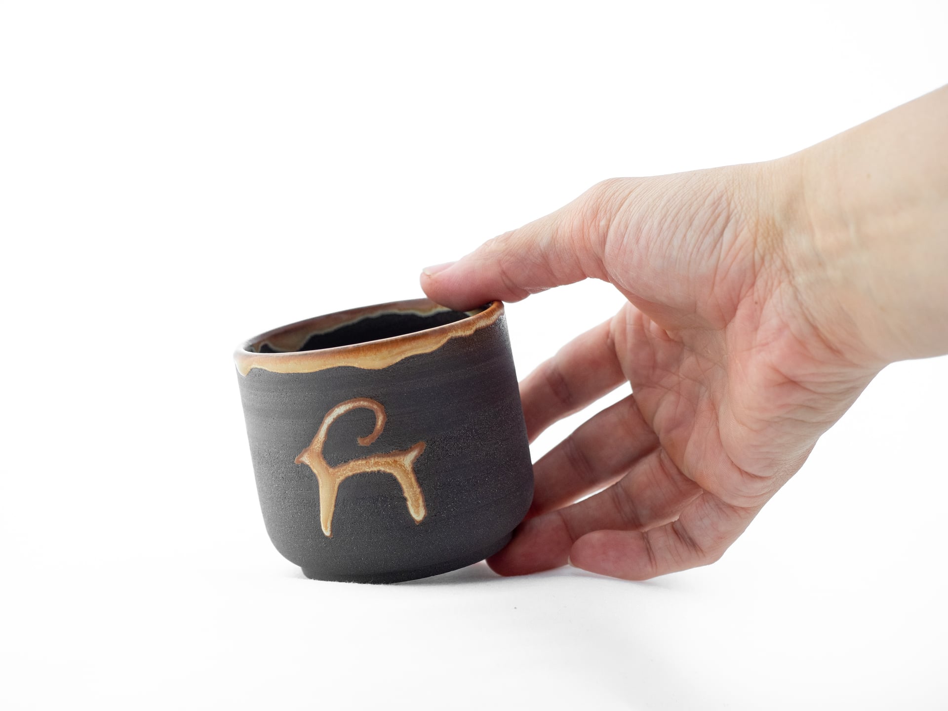 Зарянка открылась